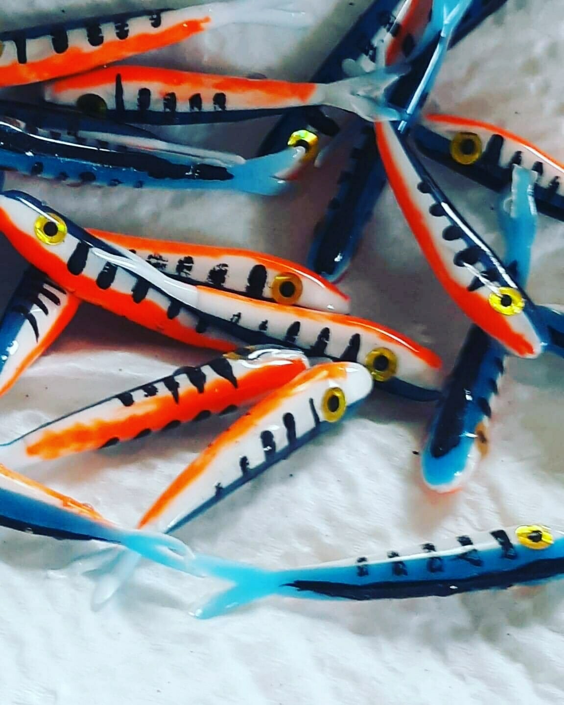 1.5" Baby fluke  blue tiger perch 10 pack