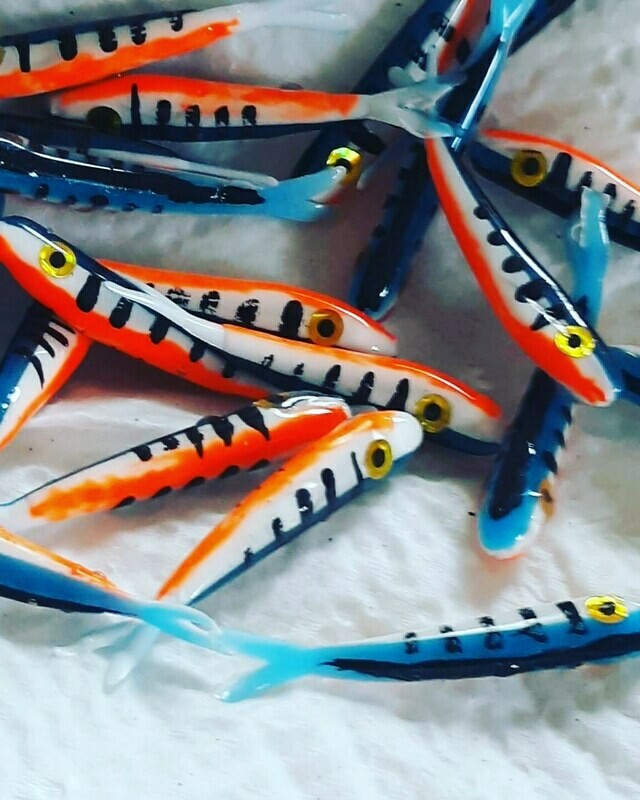 1.5" Baby fluke  blue tiger perch 10 pack
