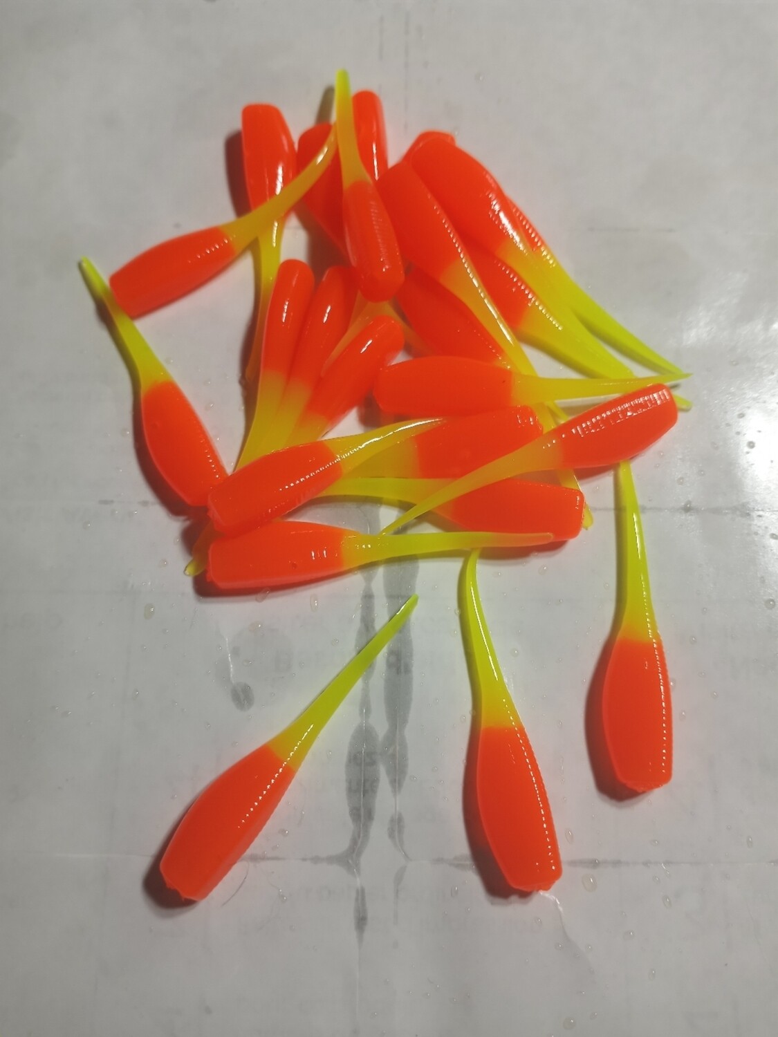 2"" Candy shad  96 per pack