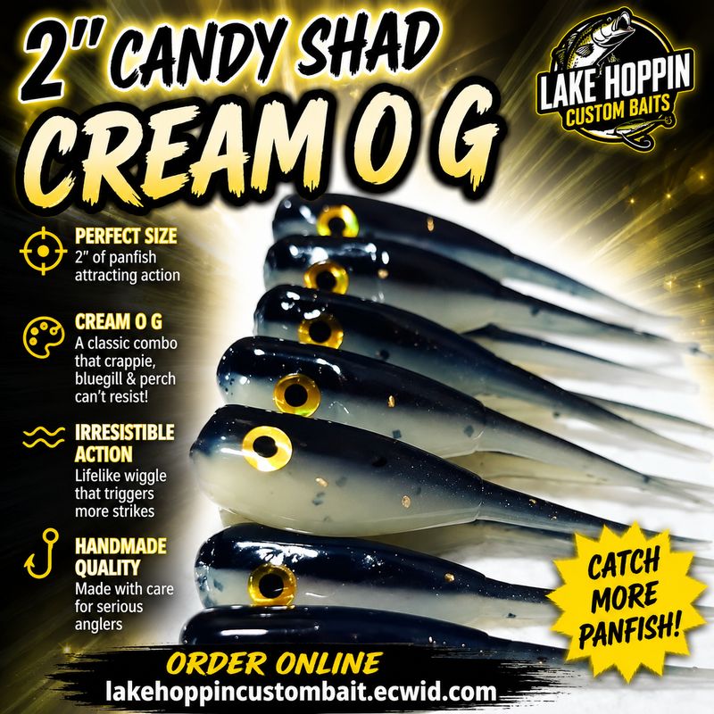 2" Candy shad eyes 12 per pack