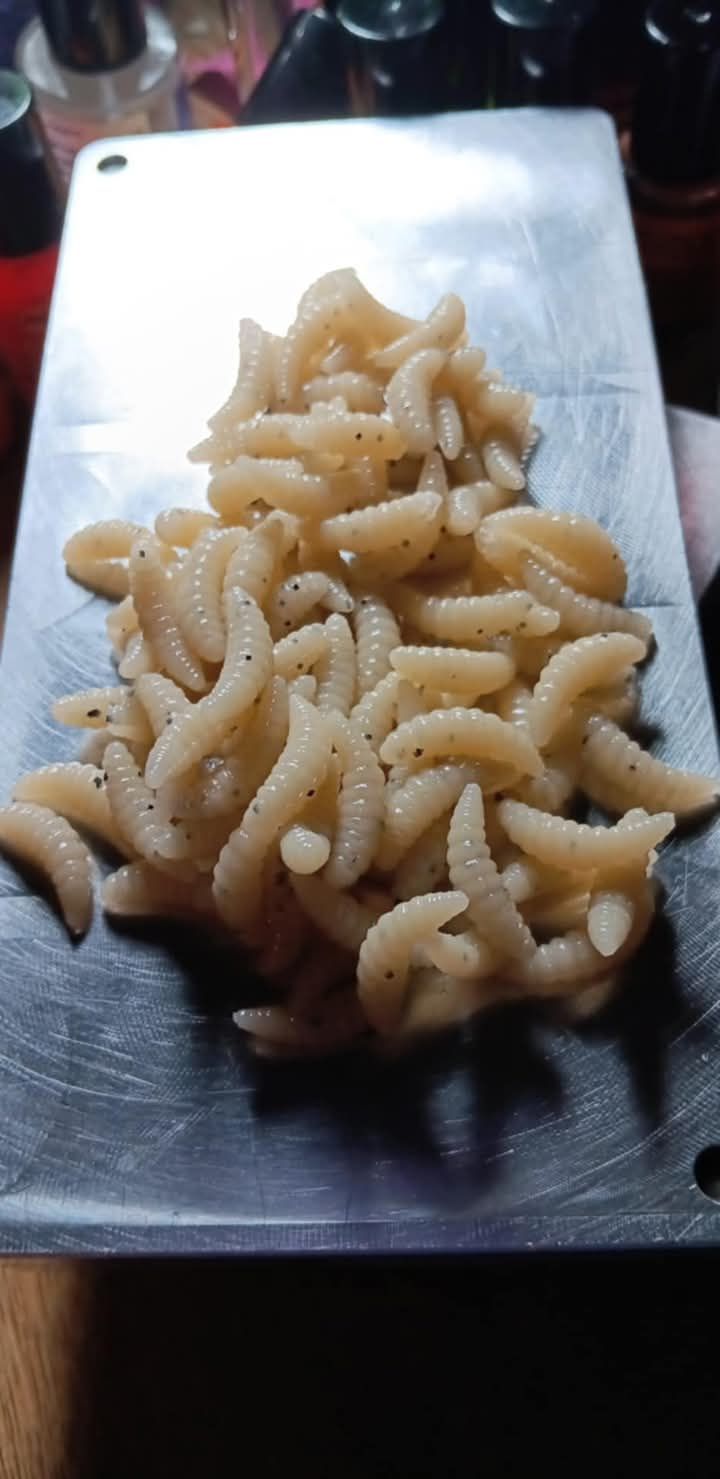 96 piece 7/8" Waxworms