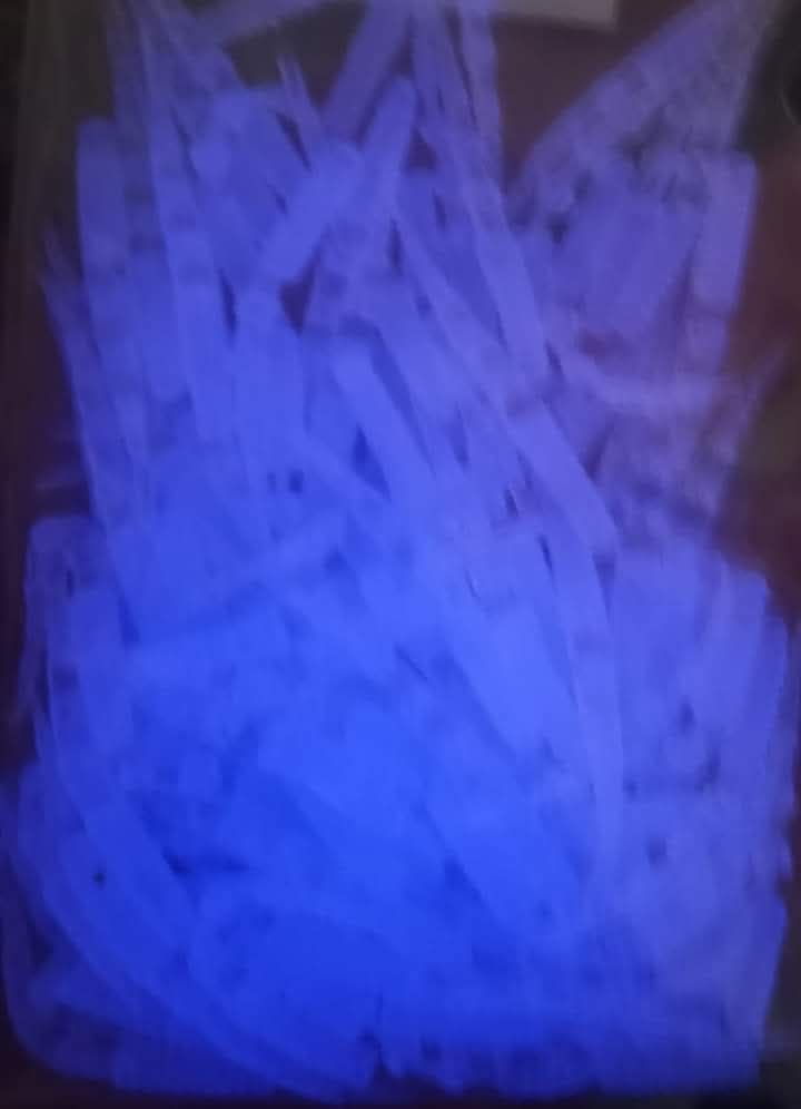 1.5" Dancin leeches  100 per pack  Purple glo