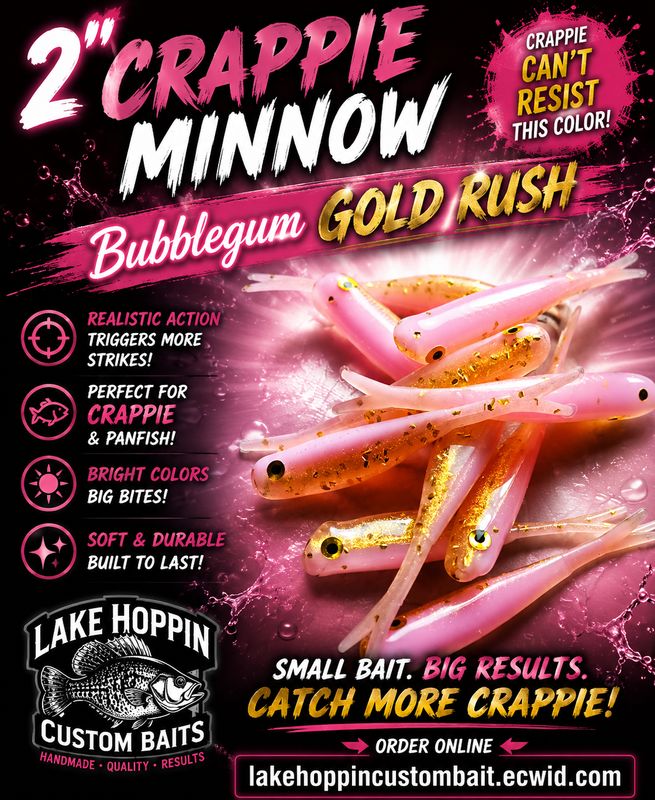 2" Crappie minnow  10 per pack  Bubblegum &amp; gold