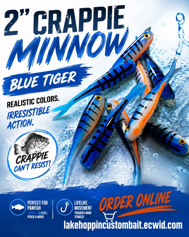 2" Crappie minnow   Blue assassin Each 1 is hand painted    10 per pack