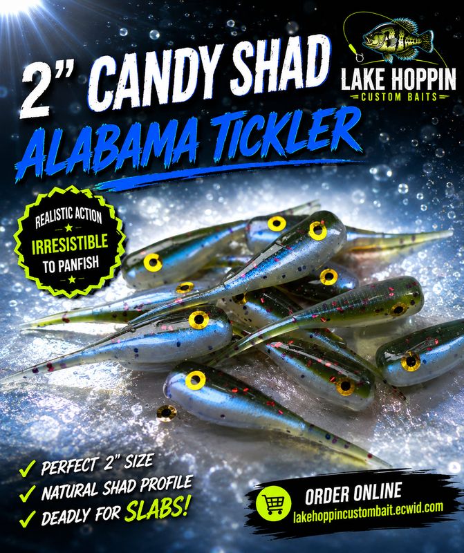 2" Candy shad eyes 12 per pack