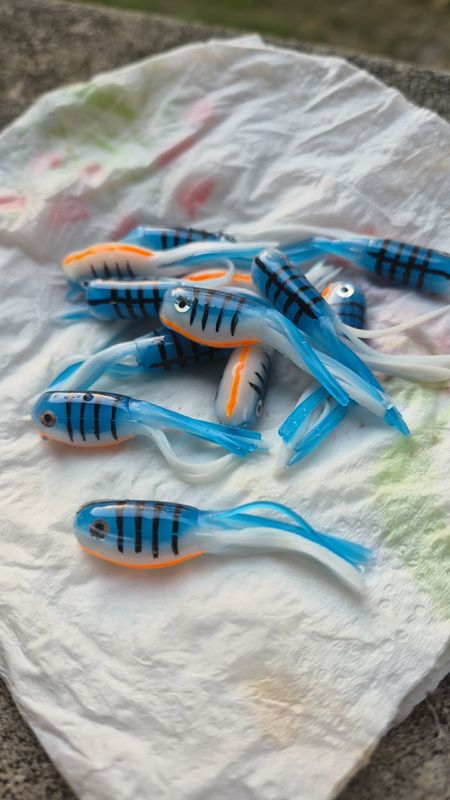 1.8" Frisky Fry  Blue tiger  Hollow body tube 12 per pack  Hand painted