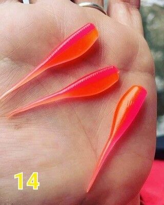 2" Candy shad  24 per pack