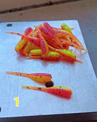 2" Candy shad  24 per pack