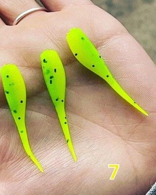 2" Candy shad  24 per pack