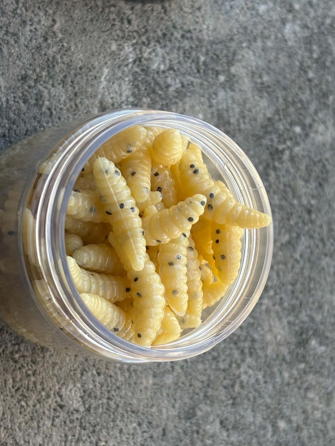 48 waxworms  2oz jar
