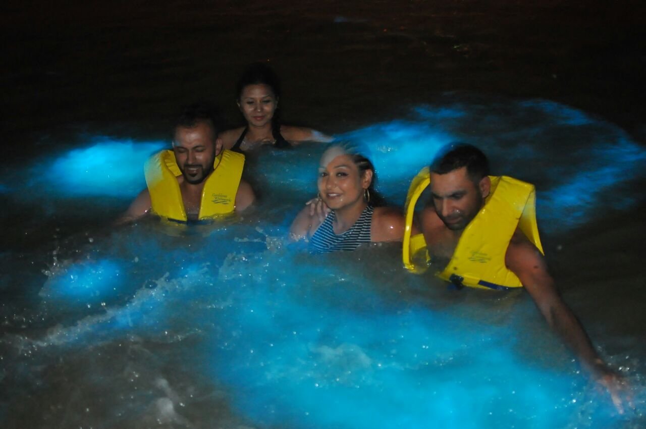 Luminous Lagoon Night Boat Tour