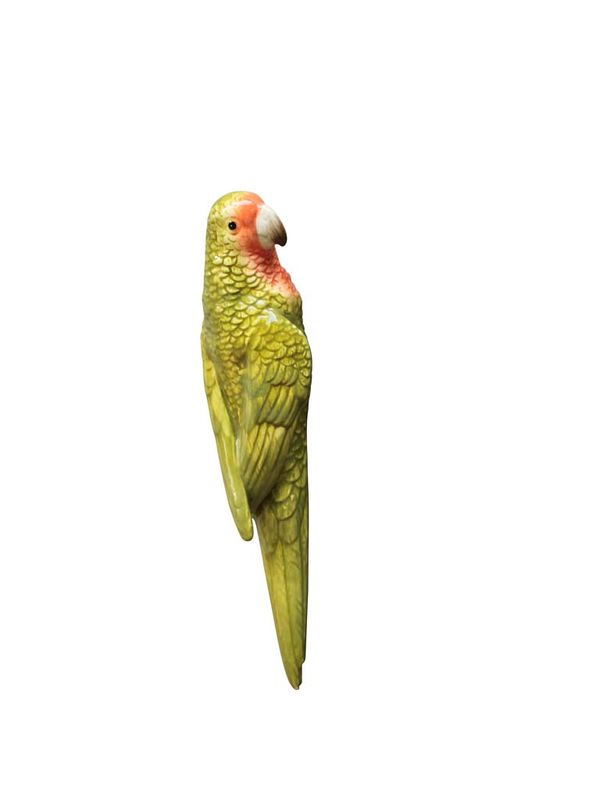 Wall Parrott Ceramic