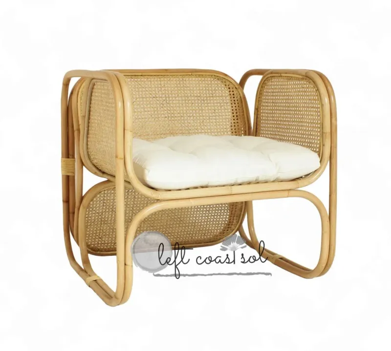 Modern Cane Square Profile Chair