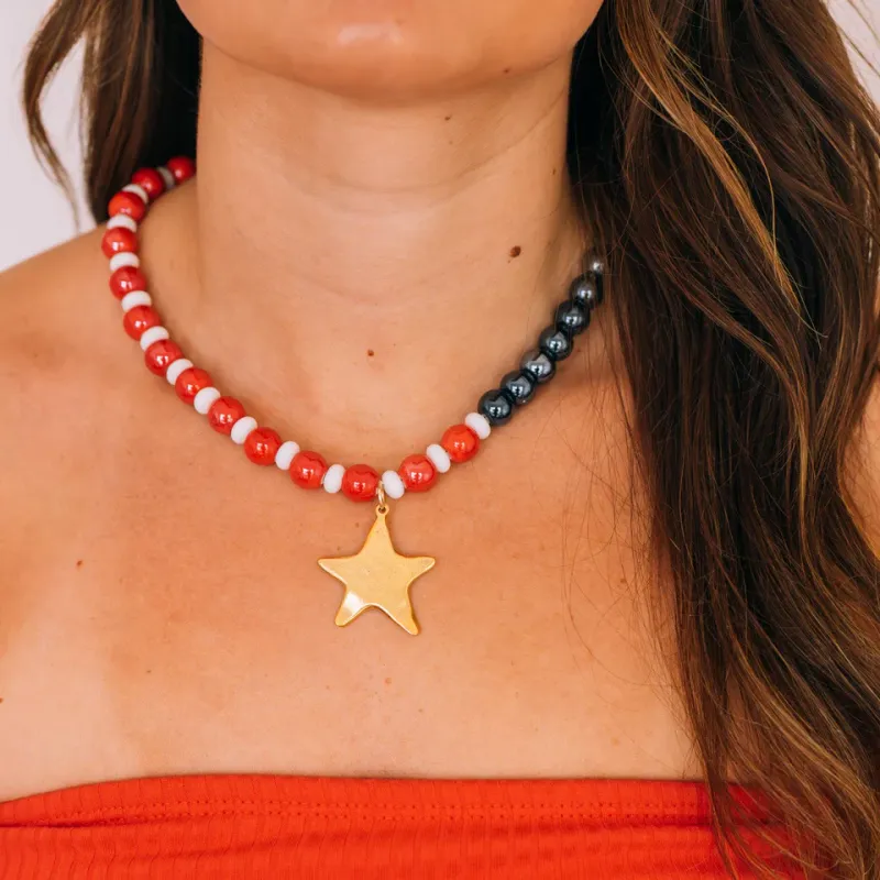 Stars & Stripes Flag