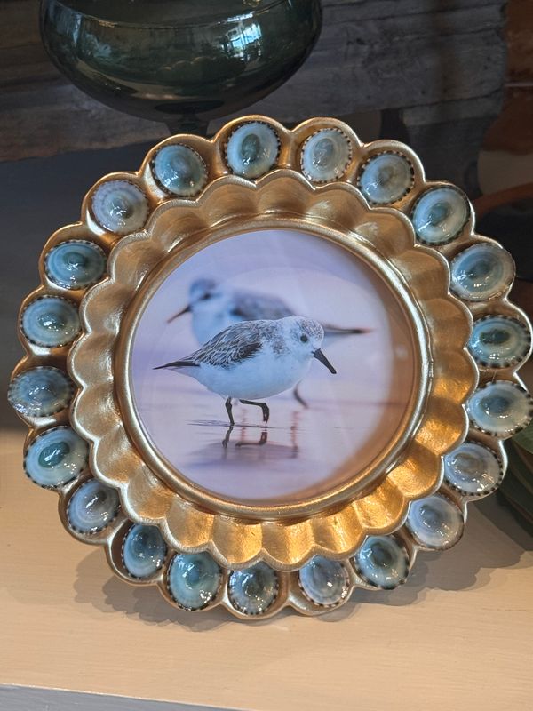 Limpet Shell Round Frame with Sandpiper