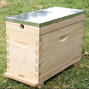 Pine 5 frame nuc box - flat pack