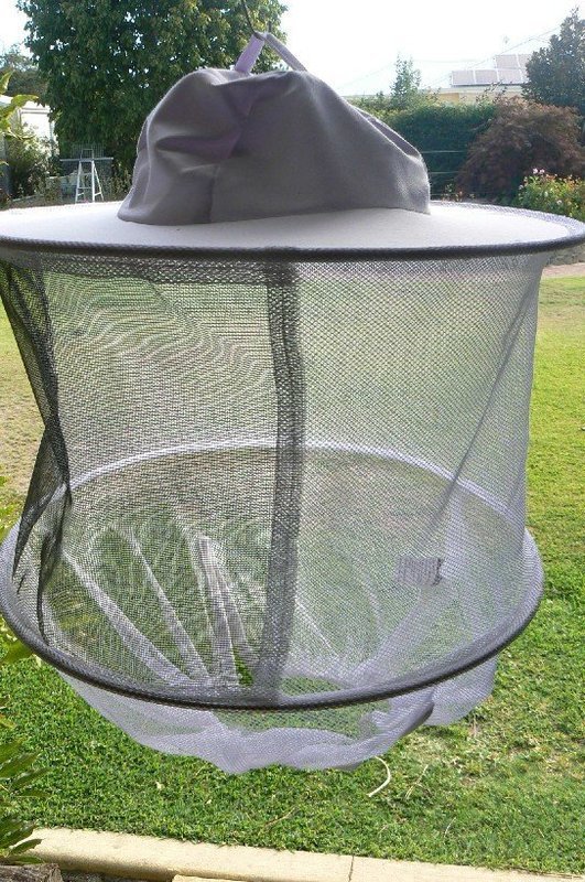 Bee Hat with veil