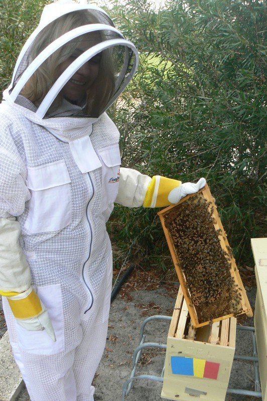 Beesuits fully ventilated - Small