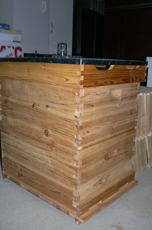 8 Frame hive combo - flat packed