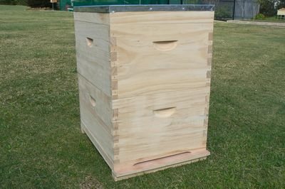 Hives
