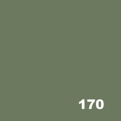 Fiber Reactive Dye - 170 Muir Green 50 g