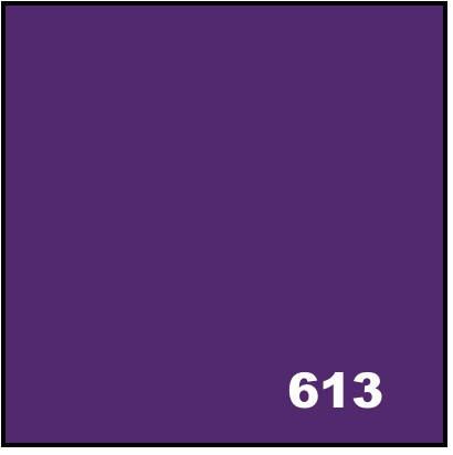 Acid Dyes - 613 Purple 20 g