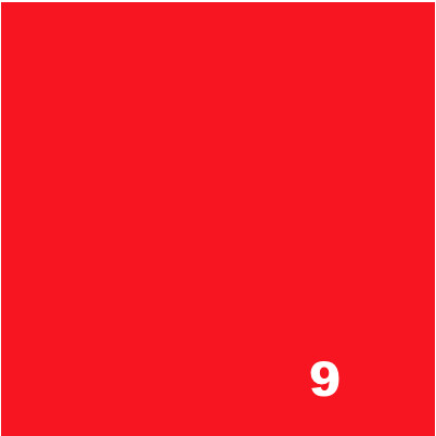 10 g Fiber Reactive Dye - 9 SCARLET*