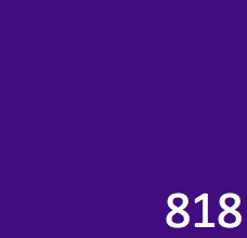 PRO WashFast Acid Dye | 818 Violet 1,5% OWG 50 g