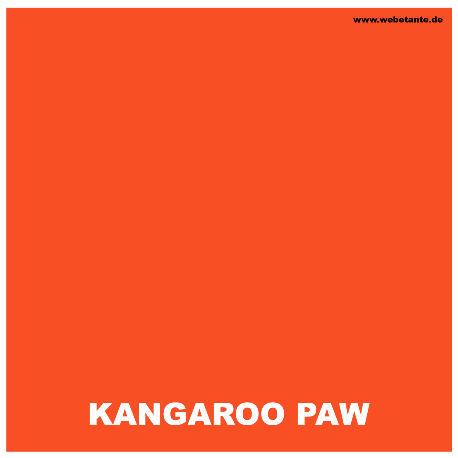 Landscapes ORIGINALS - KANGAROO PAW