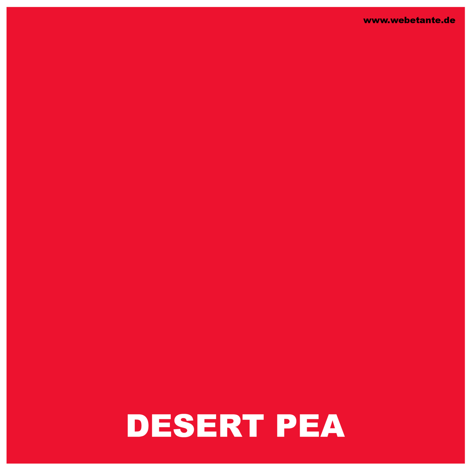 Landscapes ORIGINALS - DESERT PEA