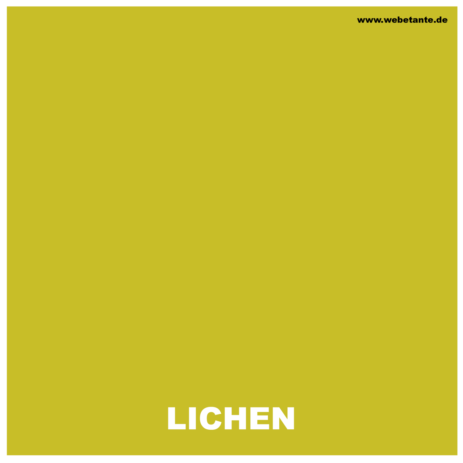 Landscapes ELEMENTS - LICHEN 20 g