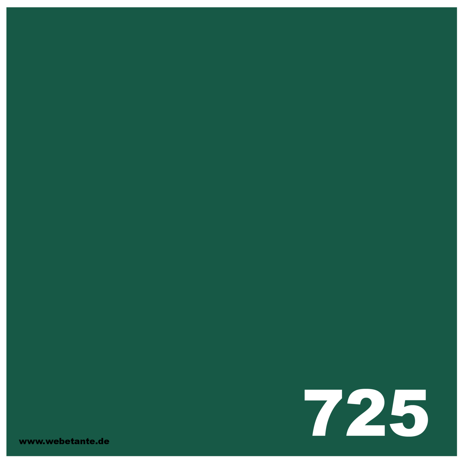 10 g PRO WashFast Acid Dye | 725 Forest Green