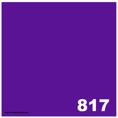 PRO WashFast Acid Dye | 817 Brilliant Violet 50 g