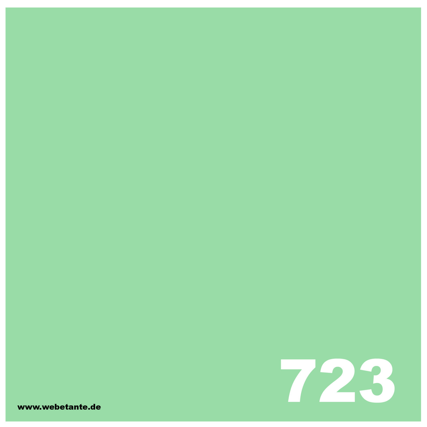 PRO WashFast Acid Dye | 723 Spearmint 50 g