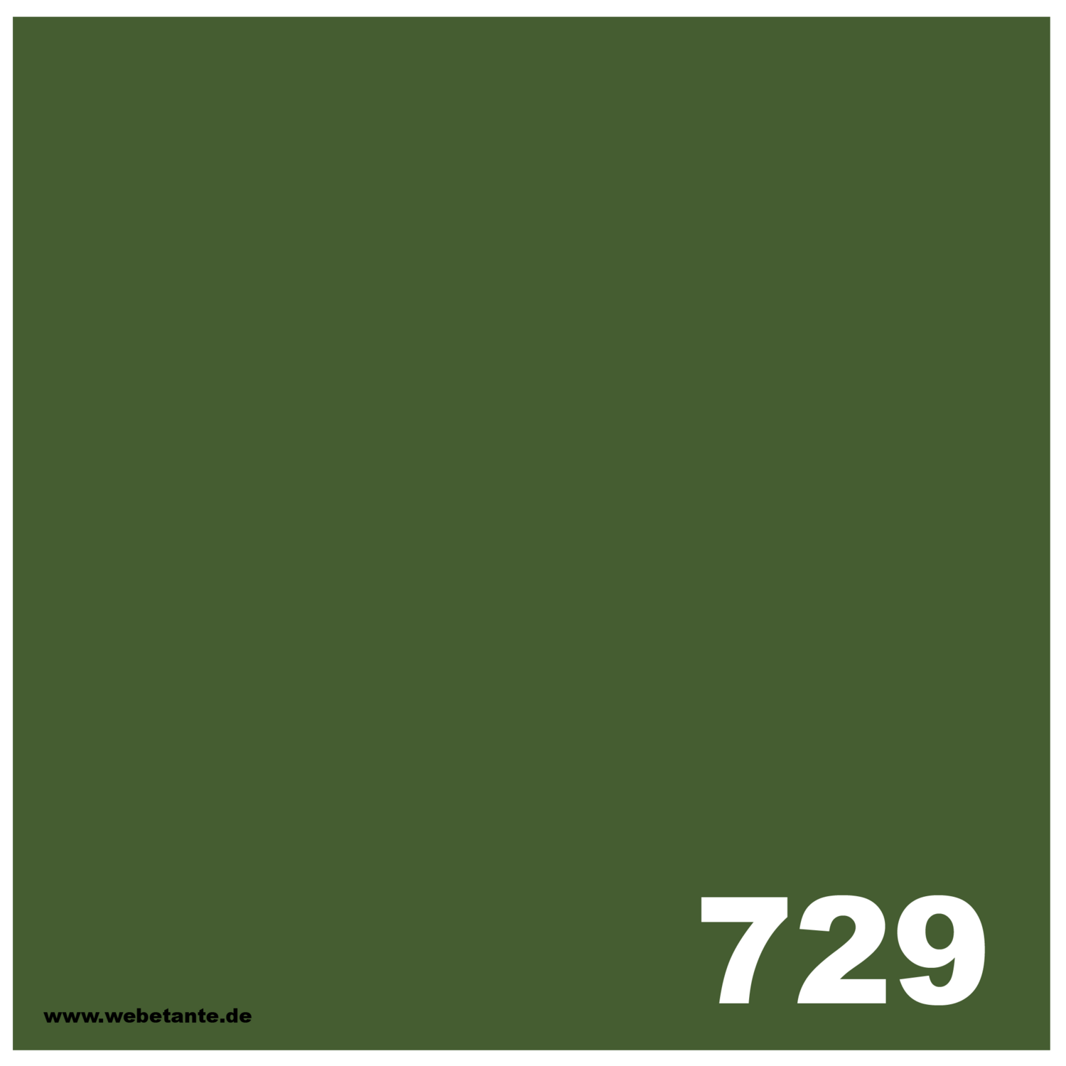 PRO WashFast Acid Dye | 729 Evergreen 50 g