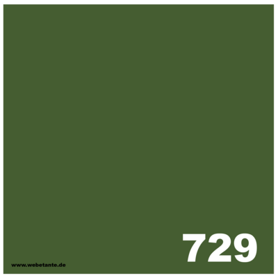 8 oz / 226 g PRO WashFast Acid Dye | 729 Evergreen