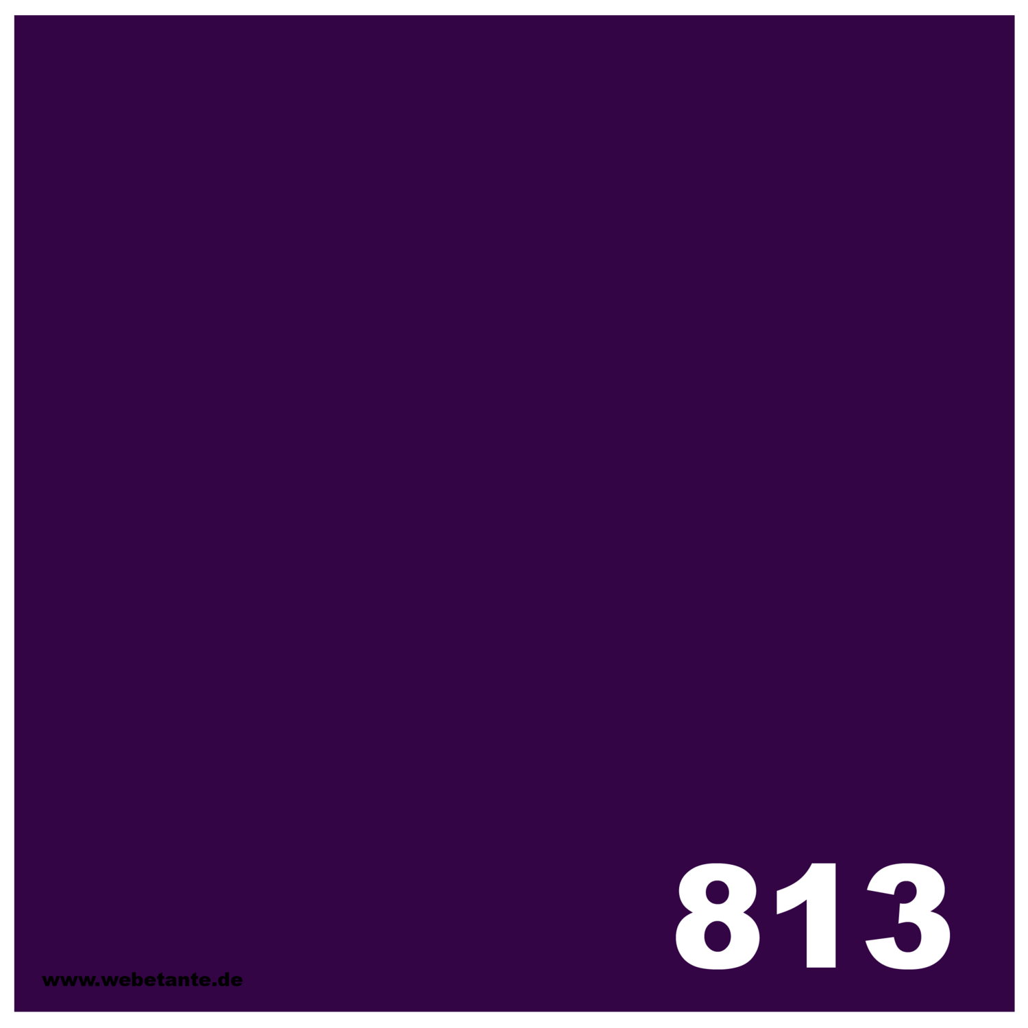 10 g PRO WashFast Acid Dye | 813 Deep Purple