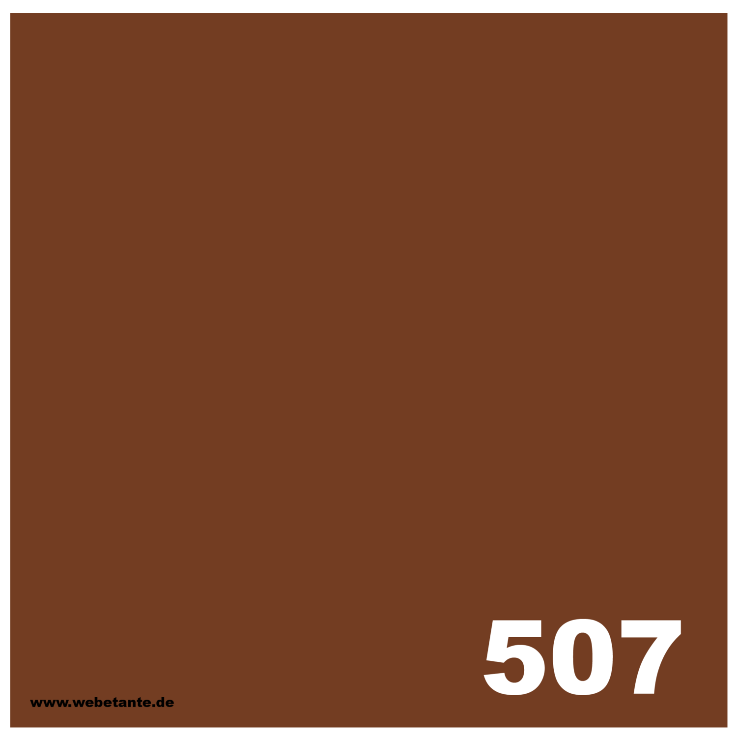 10 g PRO WashFast Acid Dye | 507 Reddish Brown