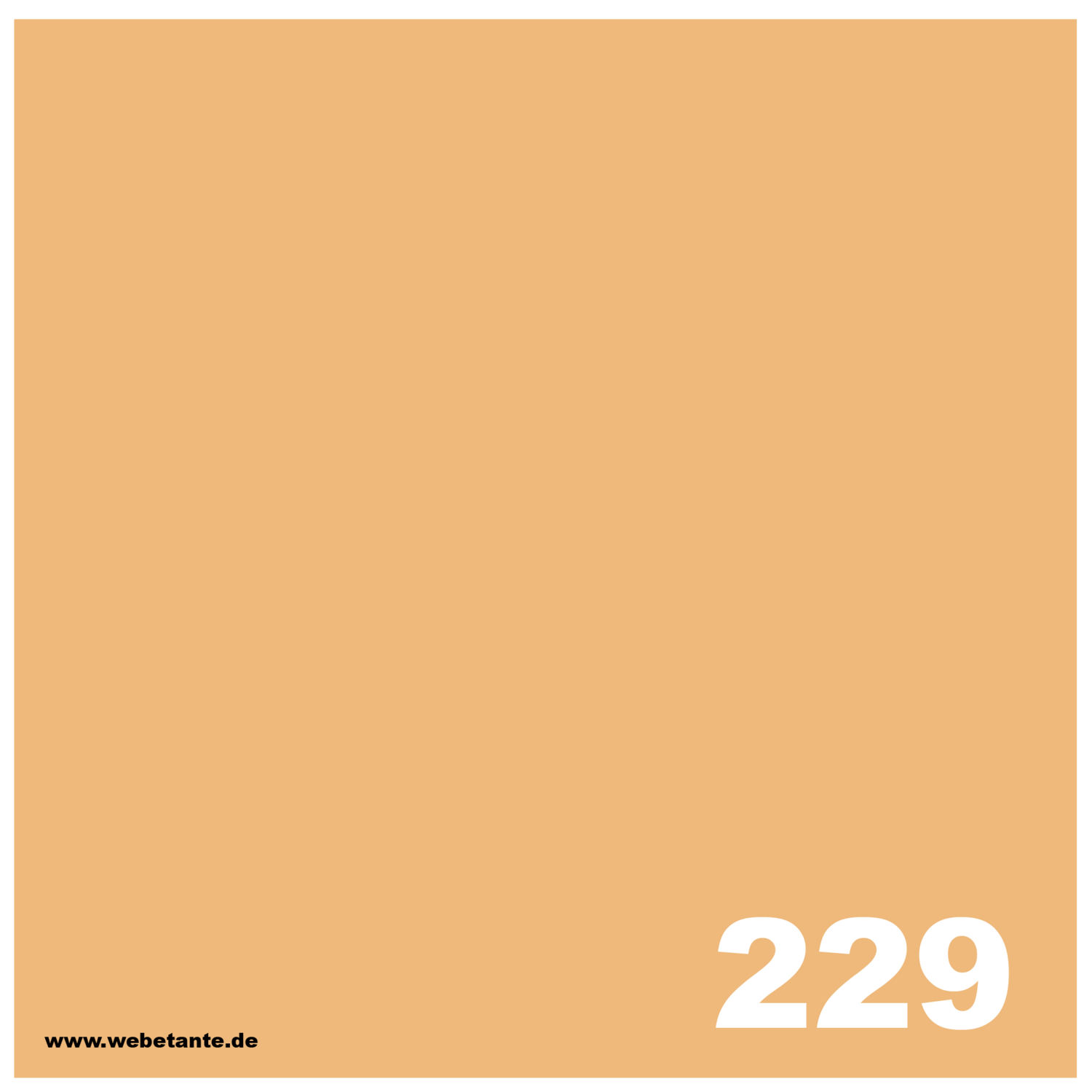 PRO WashFast Acid Dye | 229 Apricot 1,5% OWG 50 g