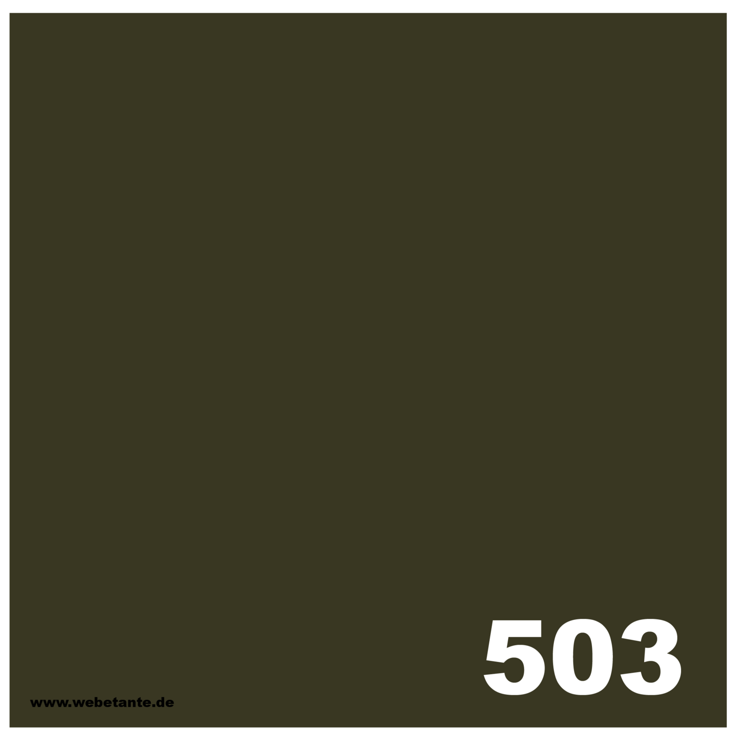 PRO WashFast Acid Dye | 503 Brown 1,5% OWG 50 g