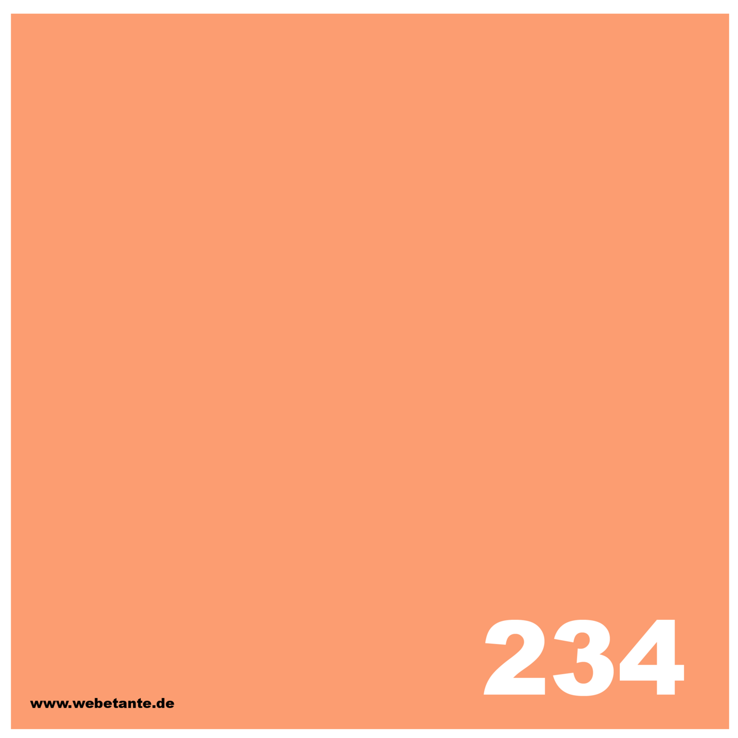 PRO WashFast Acid Dye | 234 Cantaloupe 0,5% OWG 50 g