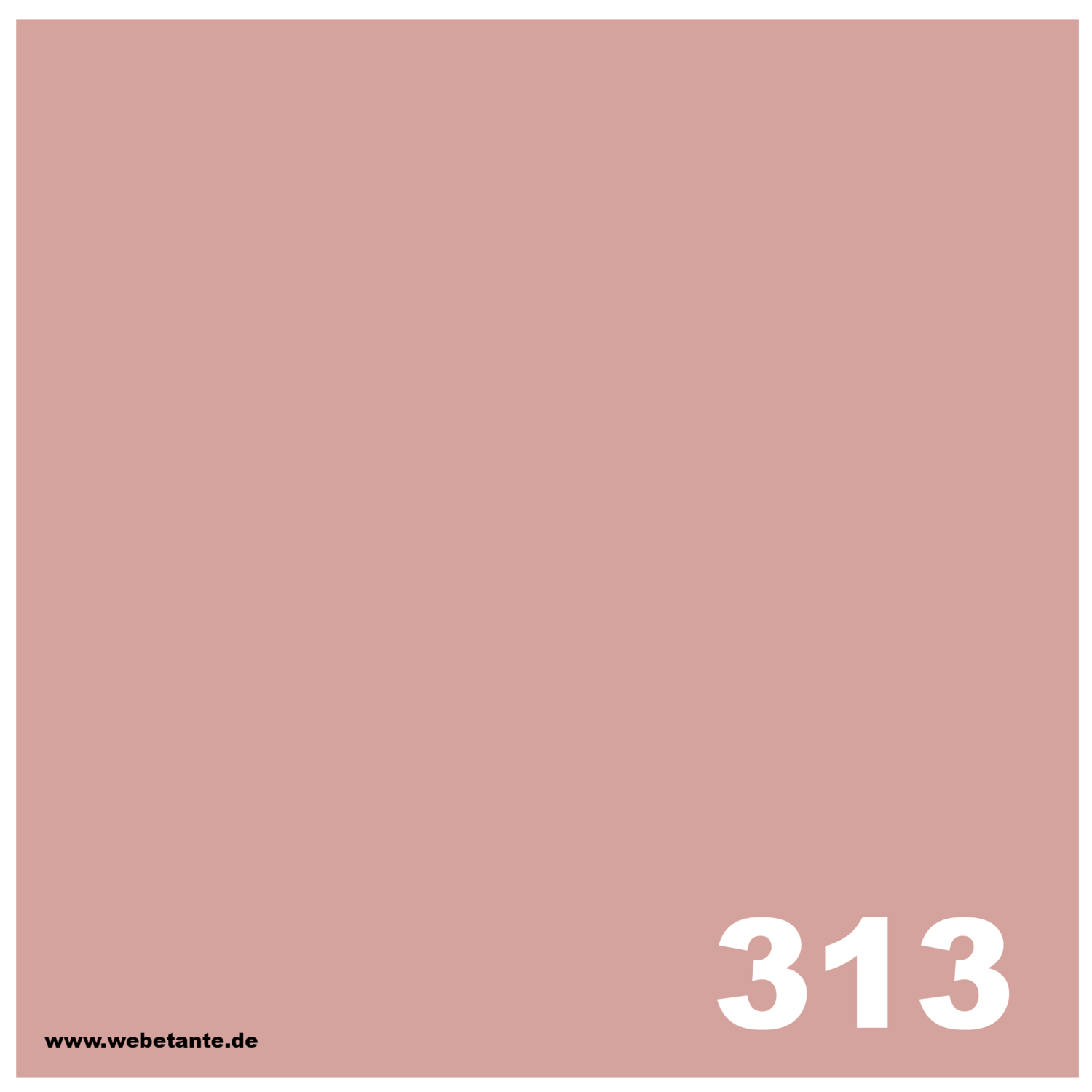 10 g PRO WashFast Acid Dye | 313 Mauve 1,5% OWG