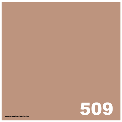 10 g PRO WashFast Acid Dye | 509 Pink Sand 1,5% OWG 10 g PRO WashFast Acid Dye | 509 Pink Sand 1,5% OWG