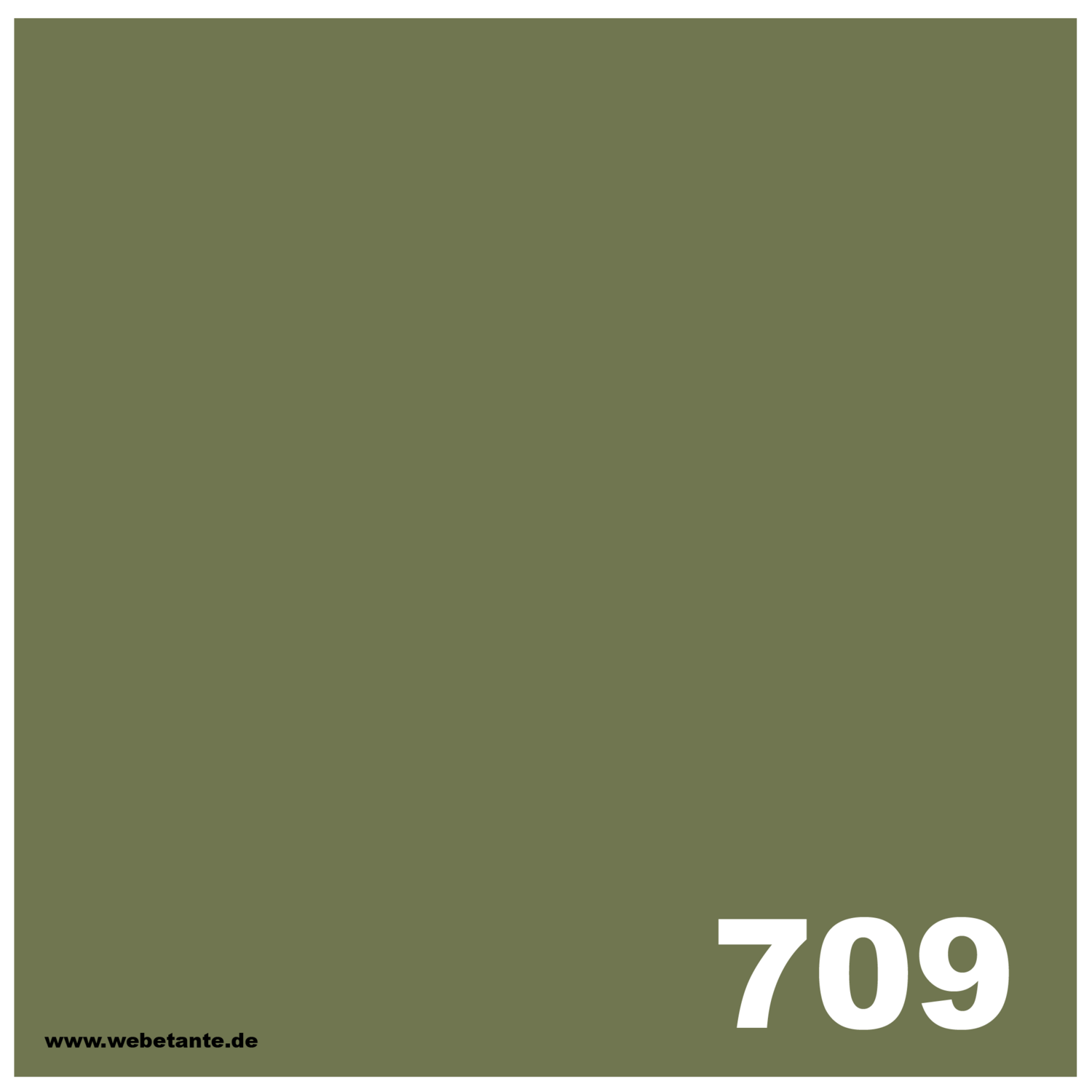 PRO WashFast Acid Dye | 709 Herb Green 1,5% OWG 50 g