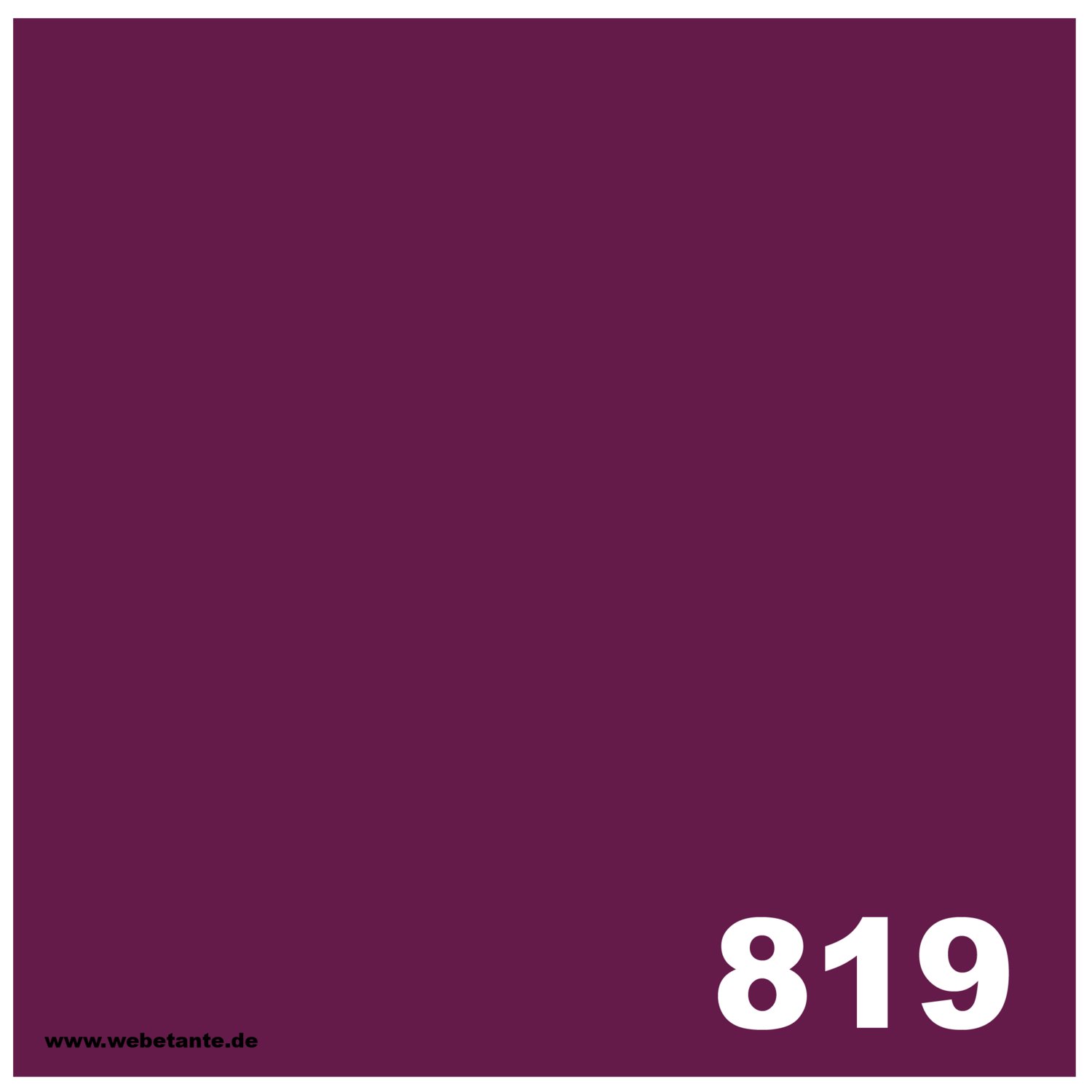 PRO WashFast Acid Dye | 819 Purple 1,5% OWG 50 g