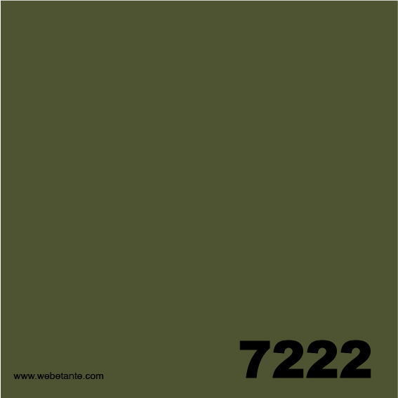 10 g PRO MX Fiber Reactive Dye | 7222 Balsam Fir 4,0 % OWG