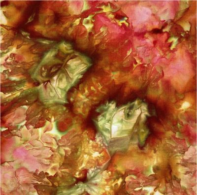 Fiber Reactive Dye - 203 Phoenix Flame 50 g