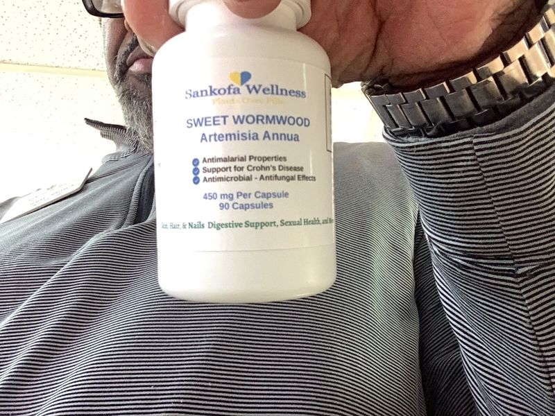Sweet Wormwood