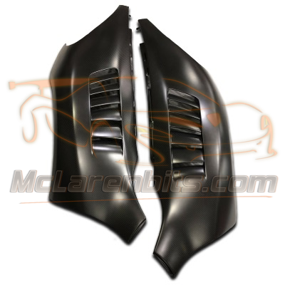 650S and 675LT GT3 front fender 650S and 675LT GT3 front fender