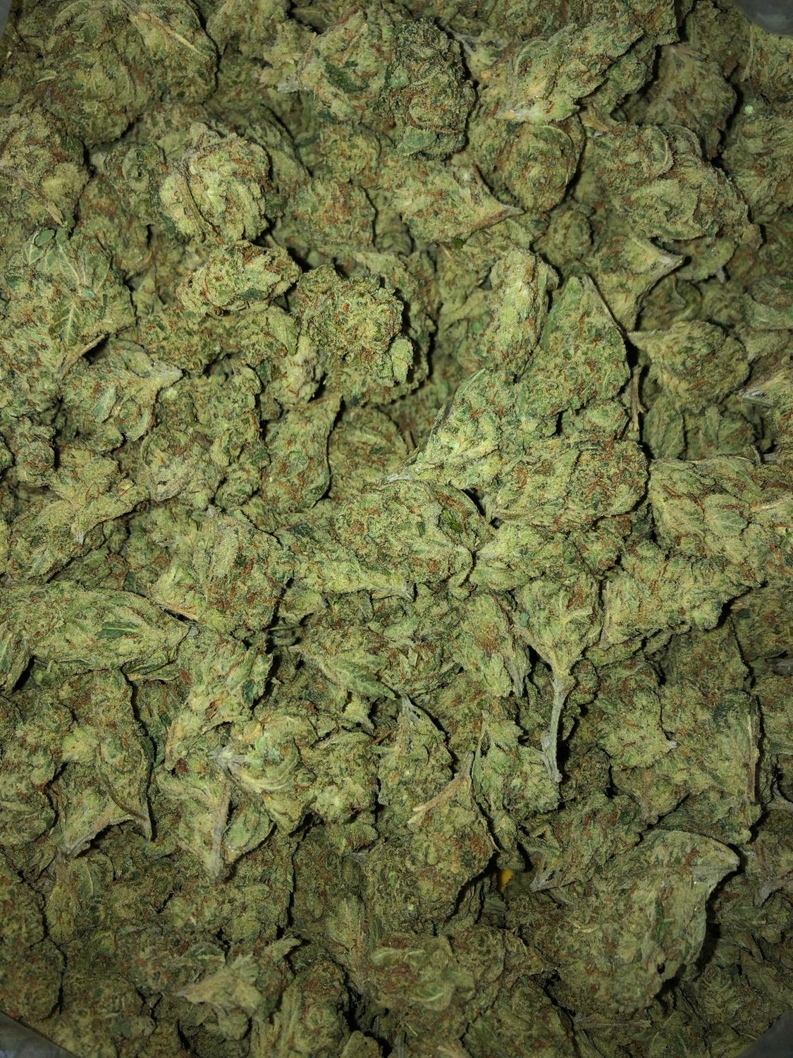 Flower: Truffaloha THC: 25% 3.5g SATIVA